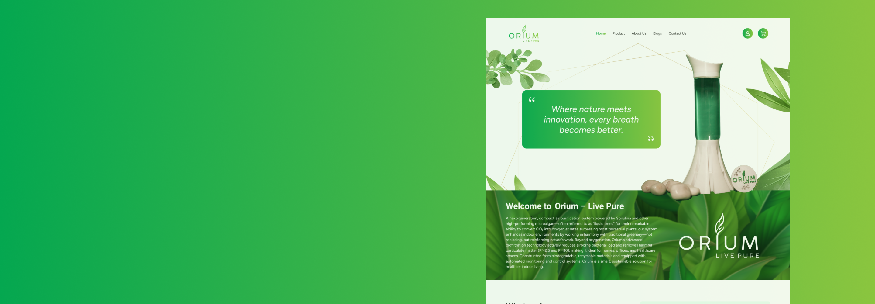 Banner